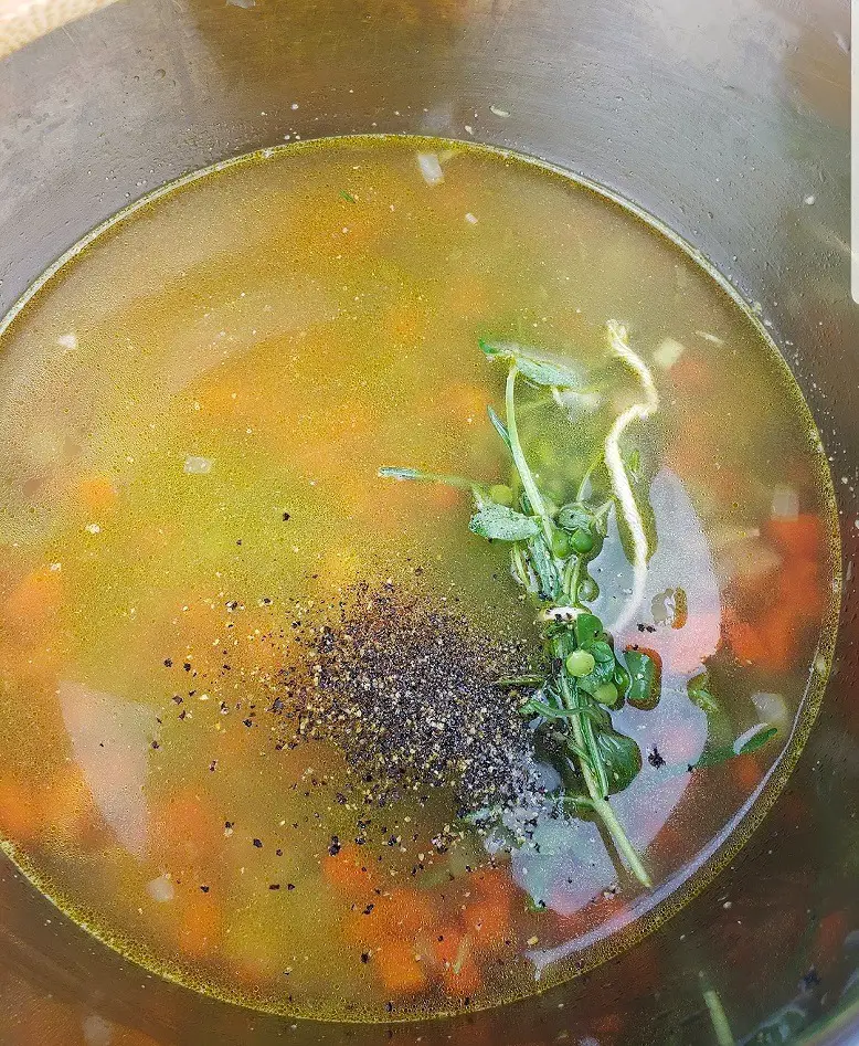 making soup in instant pot