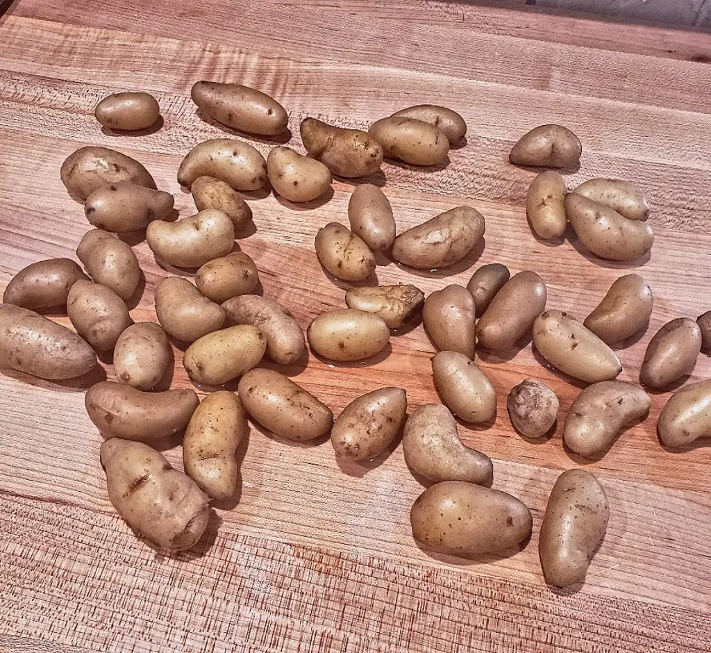 boiled fingerling potatoes on a wooden board