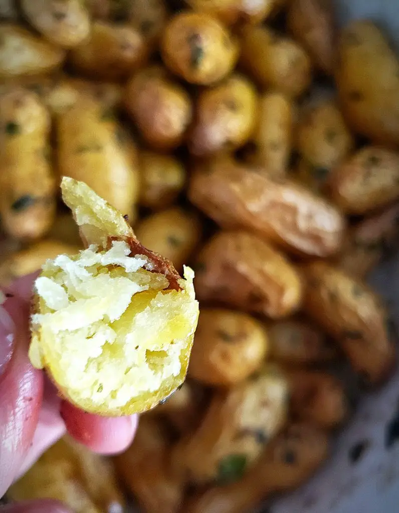 a single fingerling potato bitten in half to show fluffy center