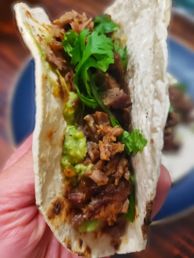 barbacoa beef taco with cilantro and smashed avocado