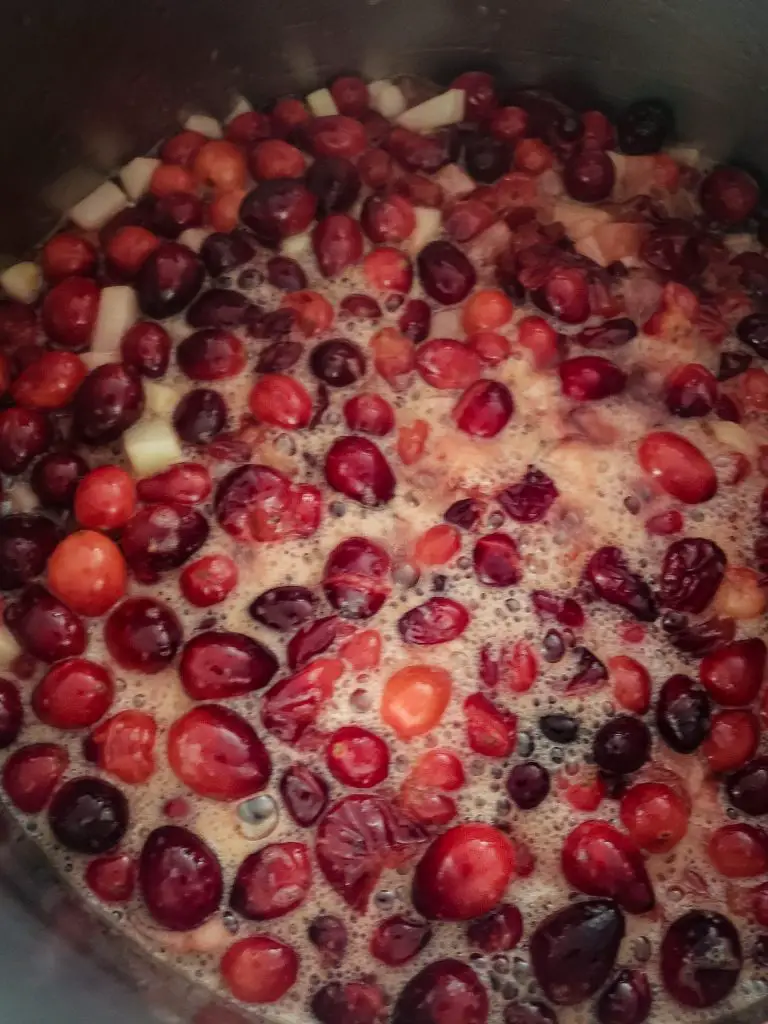 boiling cranberries to make CRANBERRY SAUCE WITH APPLES AND ORANGE ZEST