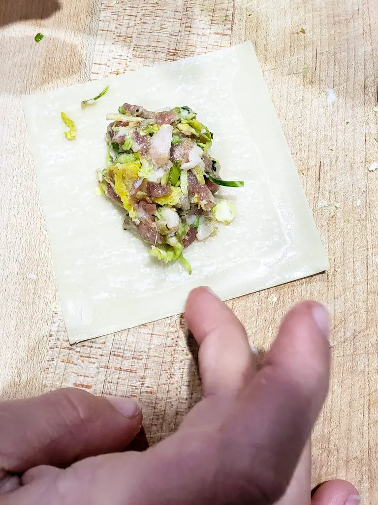 "ginger pork stickers" "pork and brussels sprout potstickers"