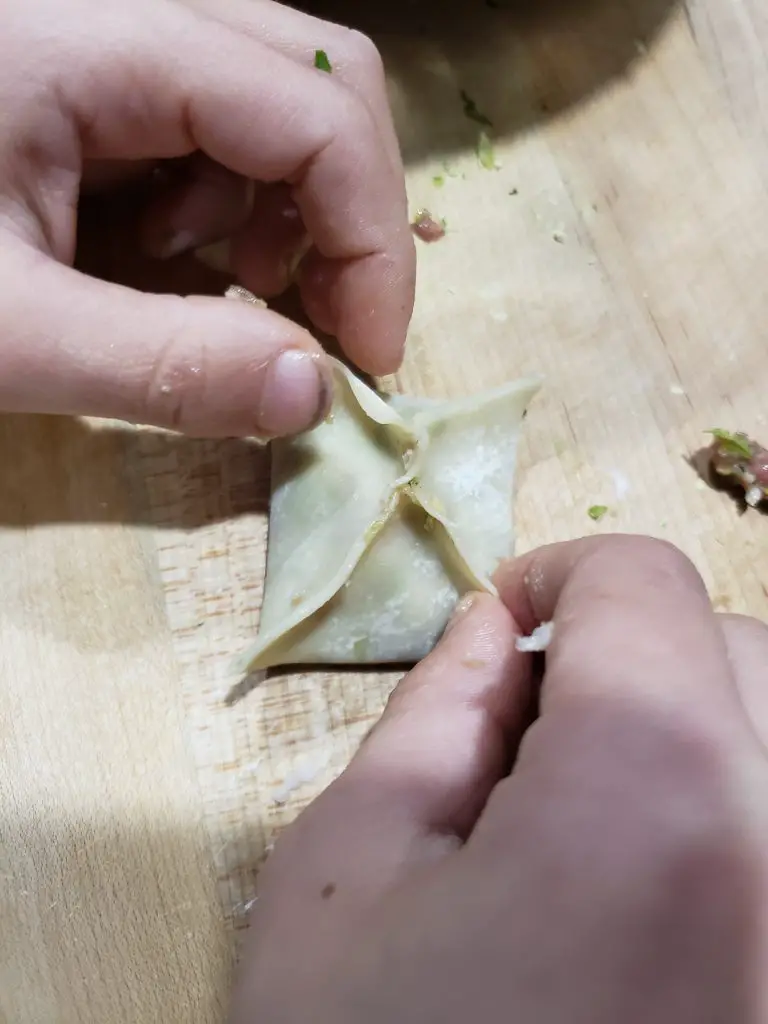 "pork potstickers" "ginger pork and brussels sprout potstickers" "potstickers"