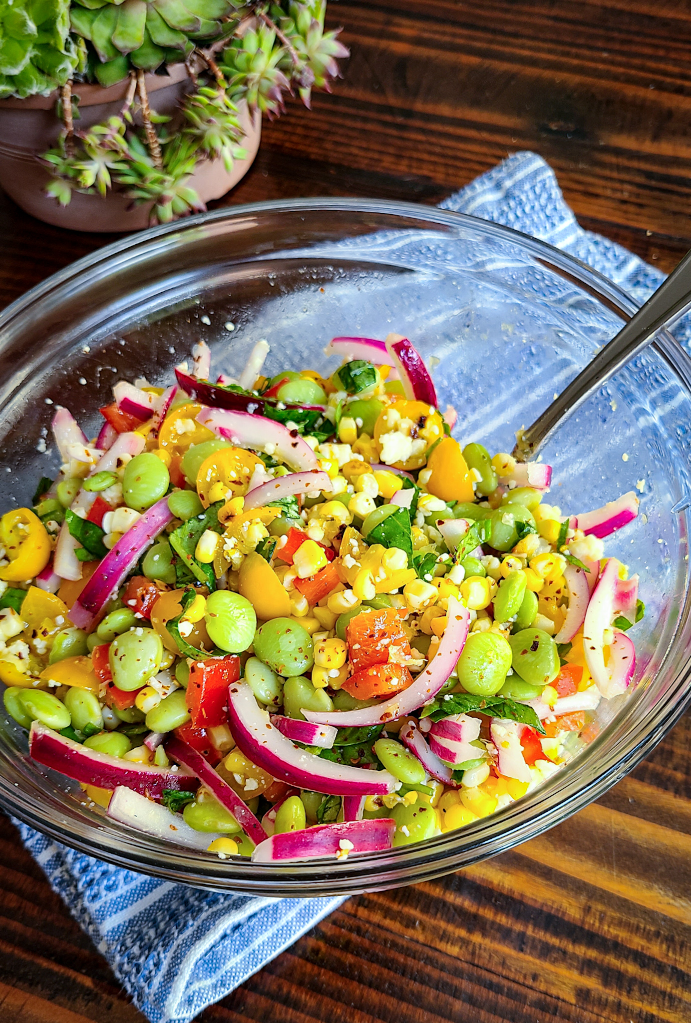 https://saltsugarspice.com/wp-content/uploads/2023/07/LIMA-BEAN-AND-GRILLED-CORN-SALAD-WITH-QUICK-PICKLED-ONIONS-.jpg
