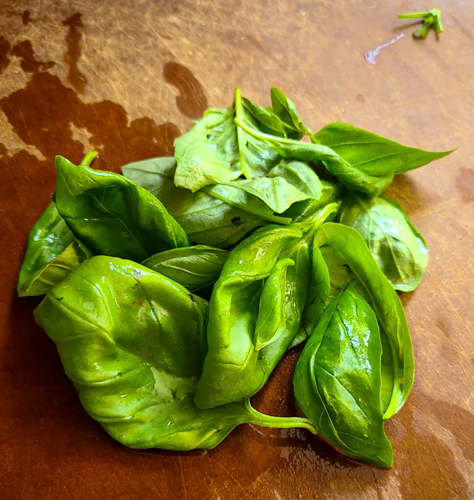 fresh basil leaves on cutting board