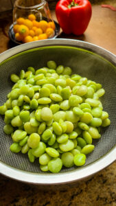 frozen lima bean boiled then drain in fine mesh strainer