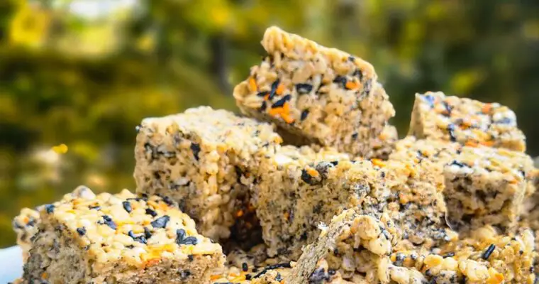 Toasted Marshmallow &  Brown Sugar Rice Krispie Treats