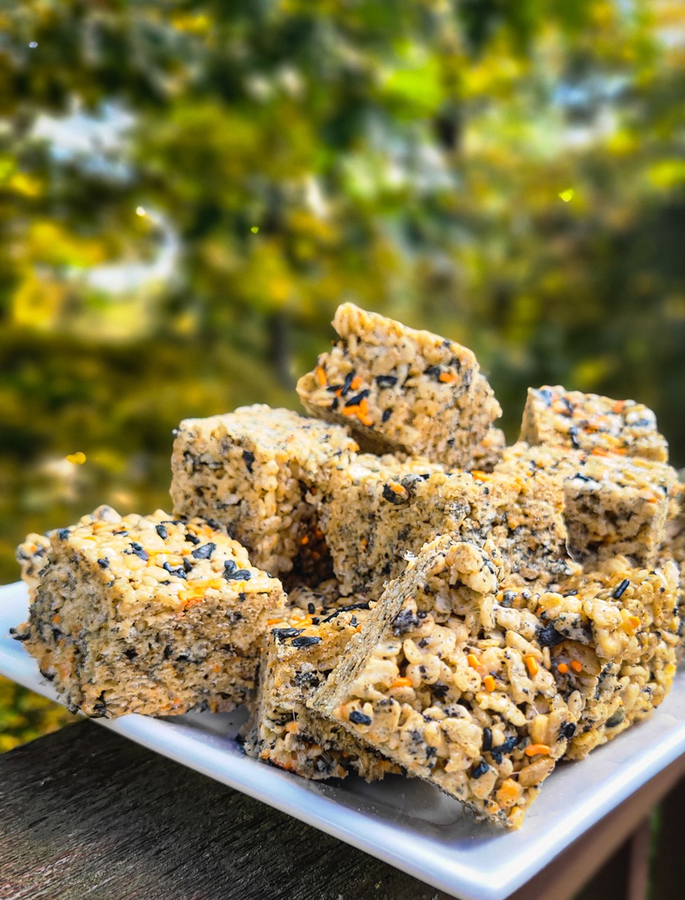 image of halloween rice krispie treats on while platter with a background of fall leaves in the background