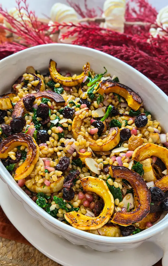 wheat berry salad in white serving bowl. sliced roasted delicata squash, wilted kale, pomegranate seeds, cranberries, sliced almonds and minced red onions are in the salad